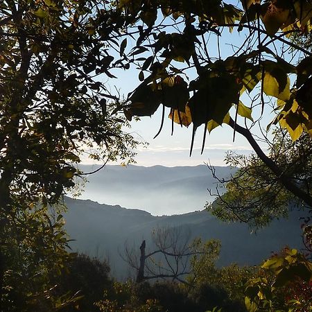 Cortijo Prado Toro Διαμέρισμα Pitres Εξωτερικό φωτογραφία