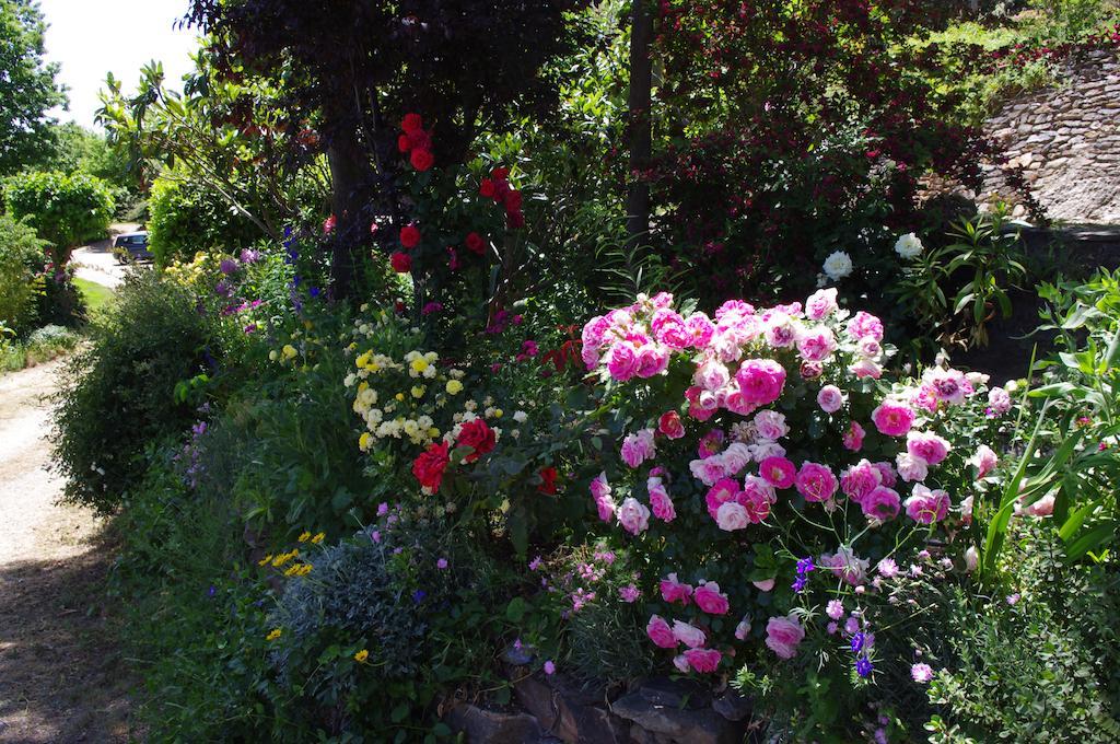 Cortijo Prado Toro Διαμέρισμα Pitres Εξωτερικό φωτογραφία