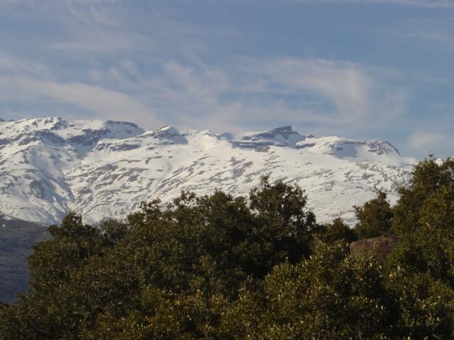 Cortijo Prado Toro Διαμέρισμα Pitres Εξωτερικό φωτογραφία