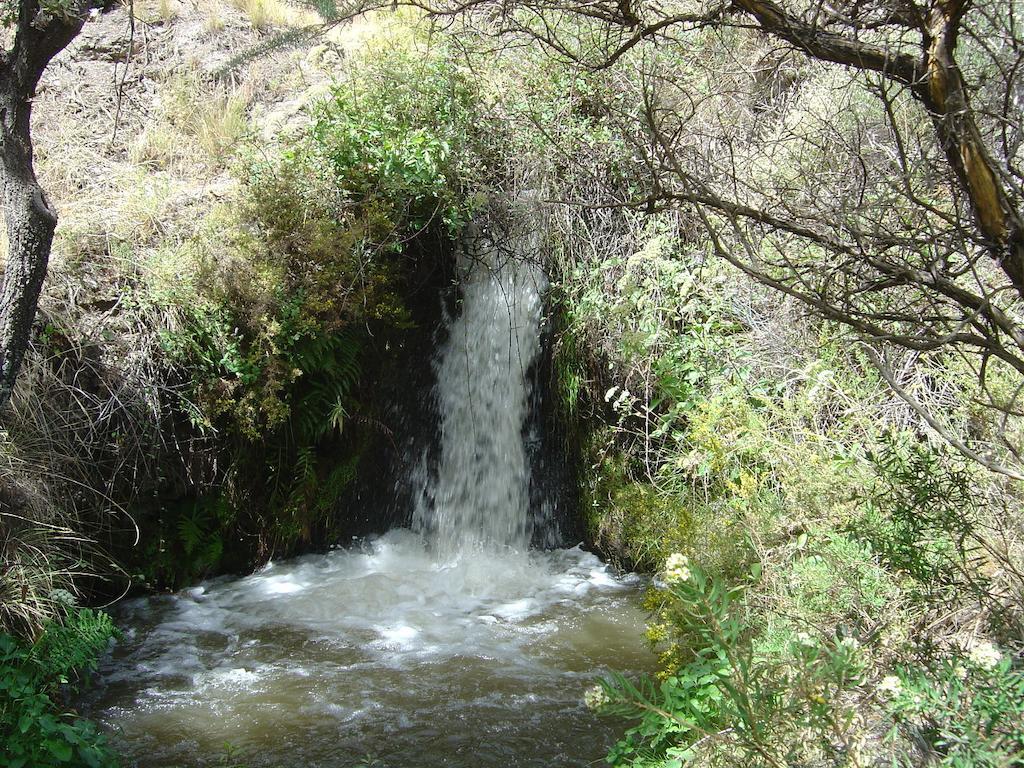 Cortijo Prado Toro Διαμέρισμα Pitres Εξωτερικό φωτογραφία