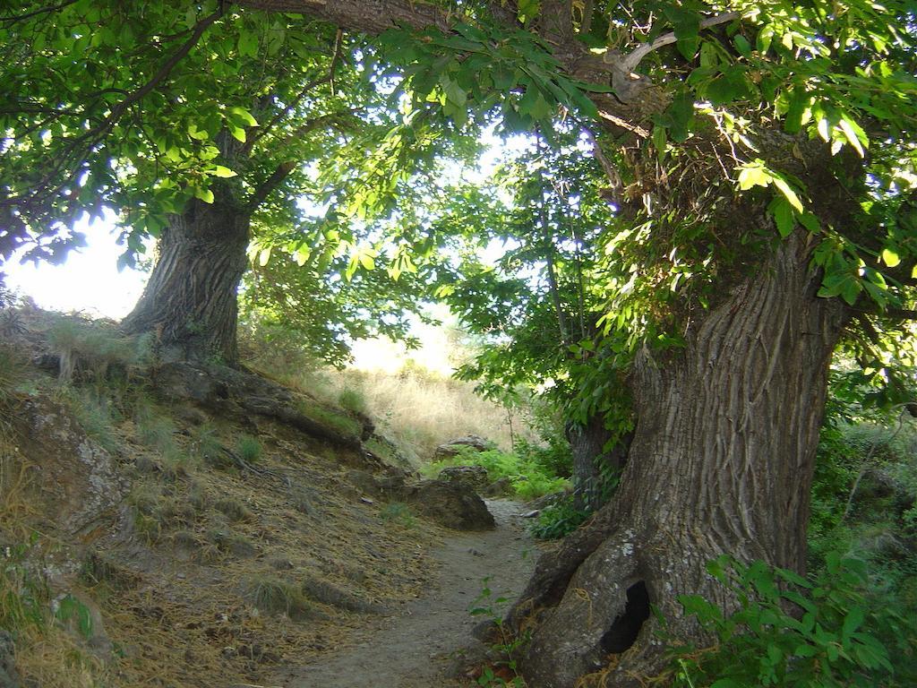 Cortijo Prado Toro Διαμέρισμα Pitres Εξωτερικό φωτογραφία