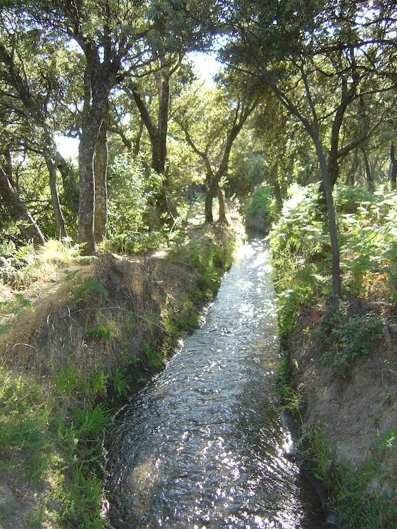 Cortijo Prado Toro Διαμέρισμα Pitres Εξωτερικό φωτογραφία