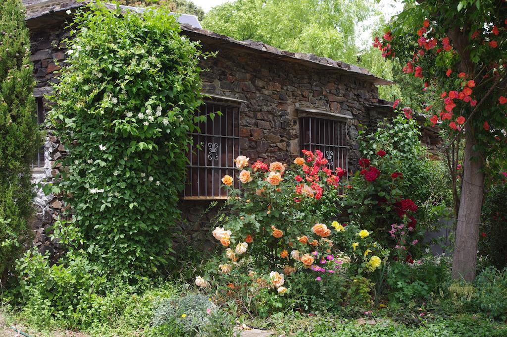Cortijo Prado Toro Διαμέρισμα Pitres Εξωτερικό φωτογραφία