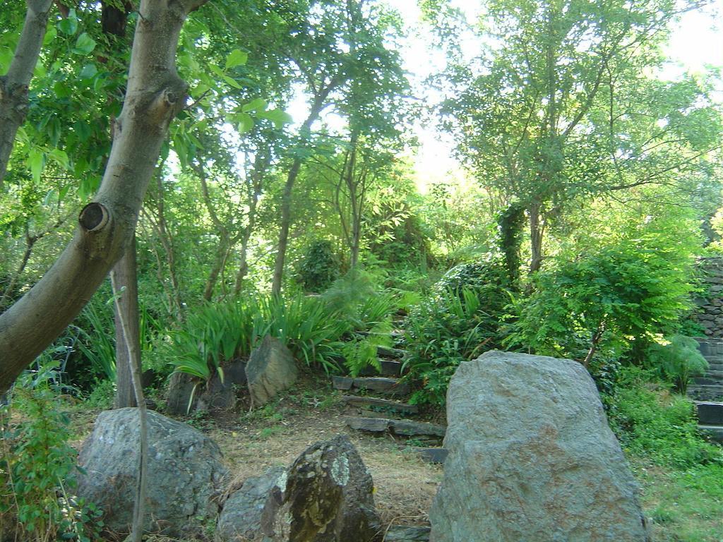 Cortijo Prado Toro Διαμέρισμα Pitres Εξωτερικό φωτογραφία