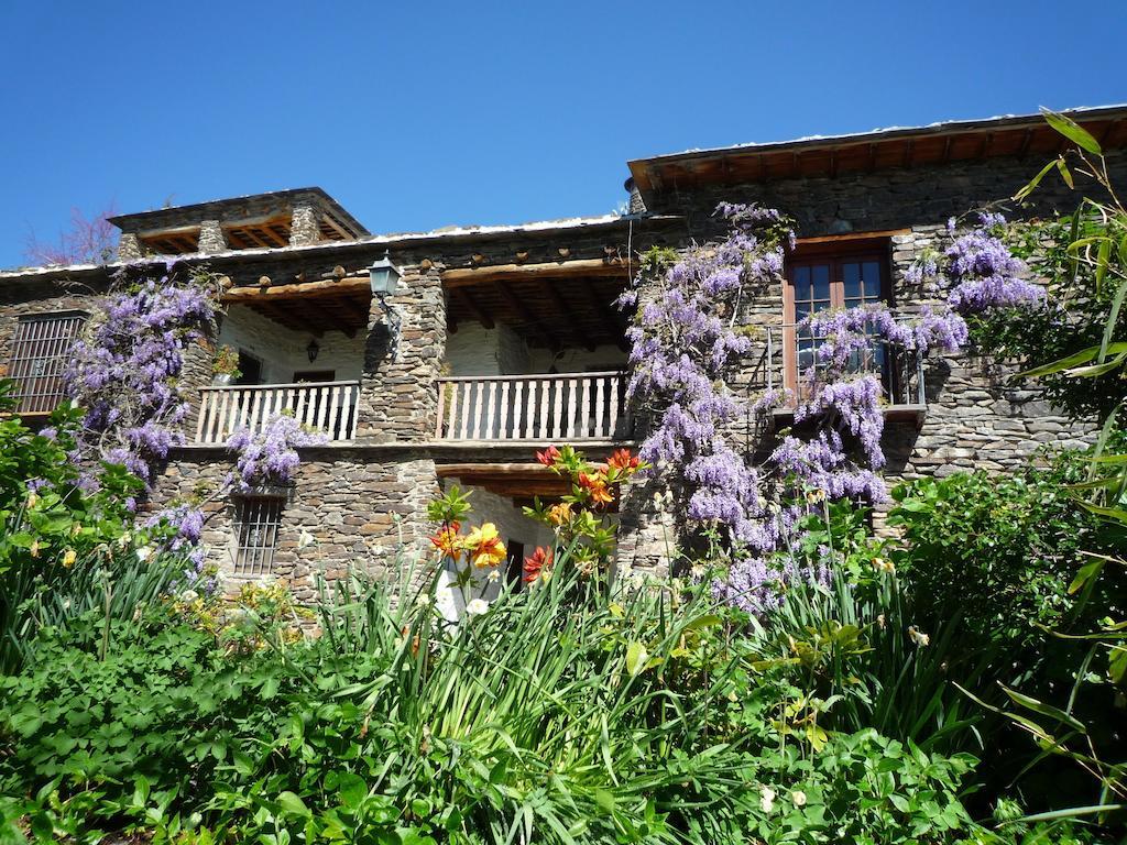 Cortijo Prado Toro Διαμέρισμα Pitres Εξωτερικό φωτογραφία