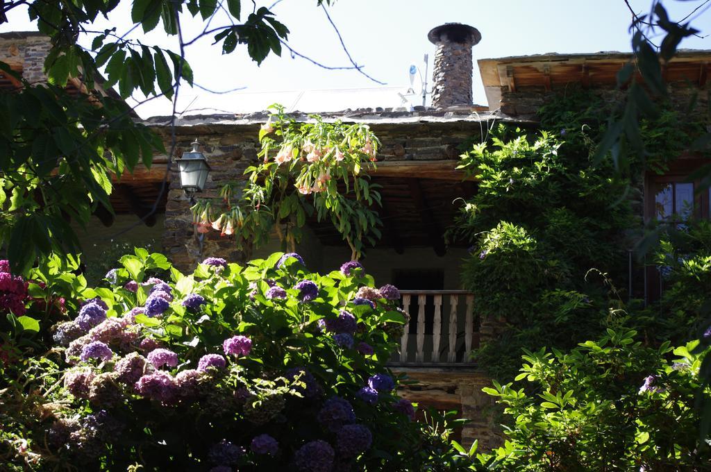 Cortijo Prado Toro Διαμέρισμα Pitres Εξωτερικό φωτογραφία