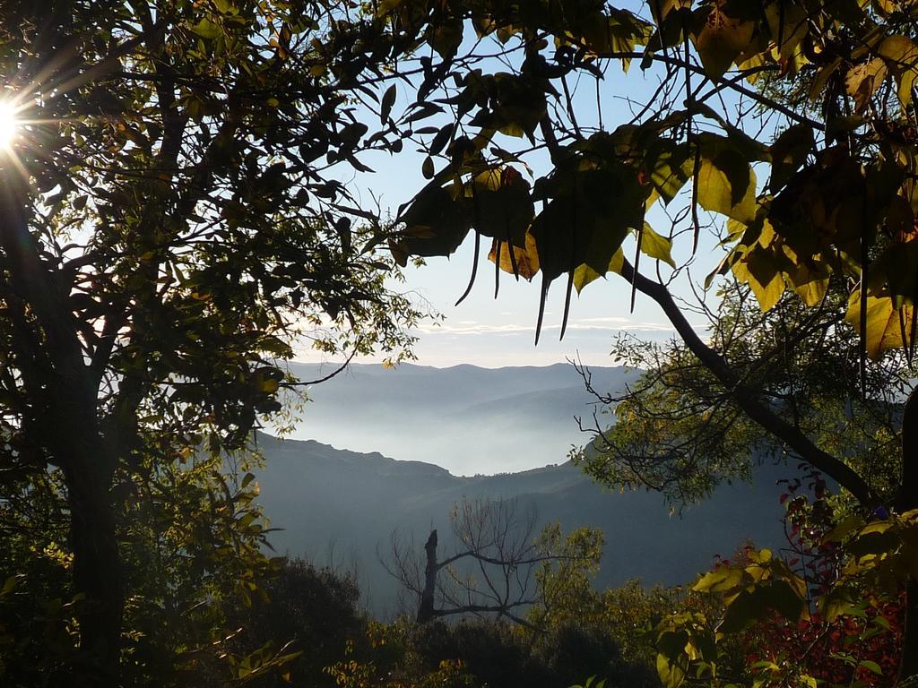 Cortijo Prado Toro Διαμέρισμα Pitres Εξωτερικό φωτογραφία